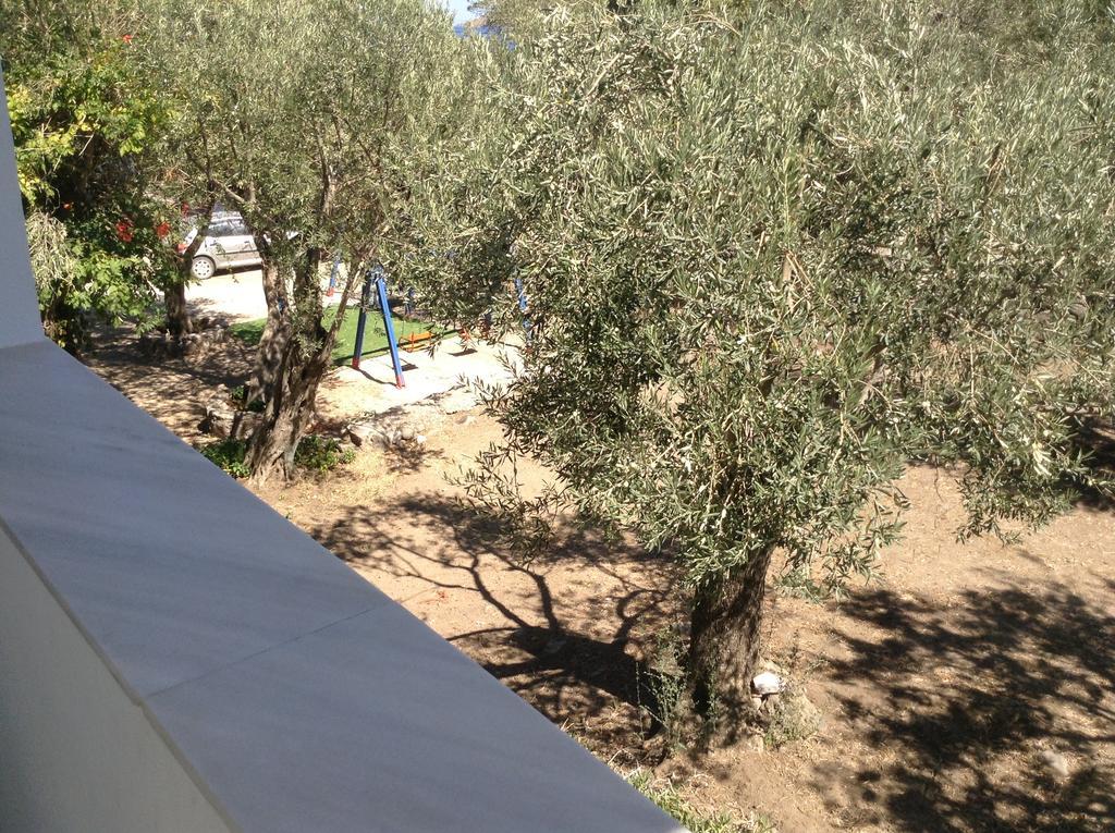Rooms To Let To Kyma Skala Sikamineas Skala Sykamineas Dış mekan fotoğraf