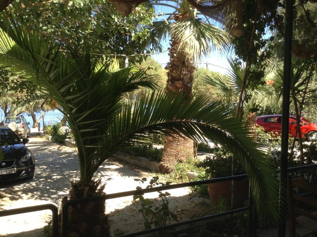 Rooms To Let To Kyma Skala Sikamineas Skala Sykamineas Dış mekan fotoğraf