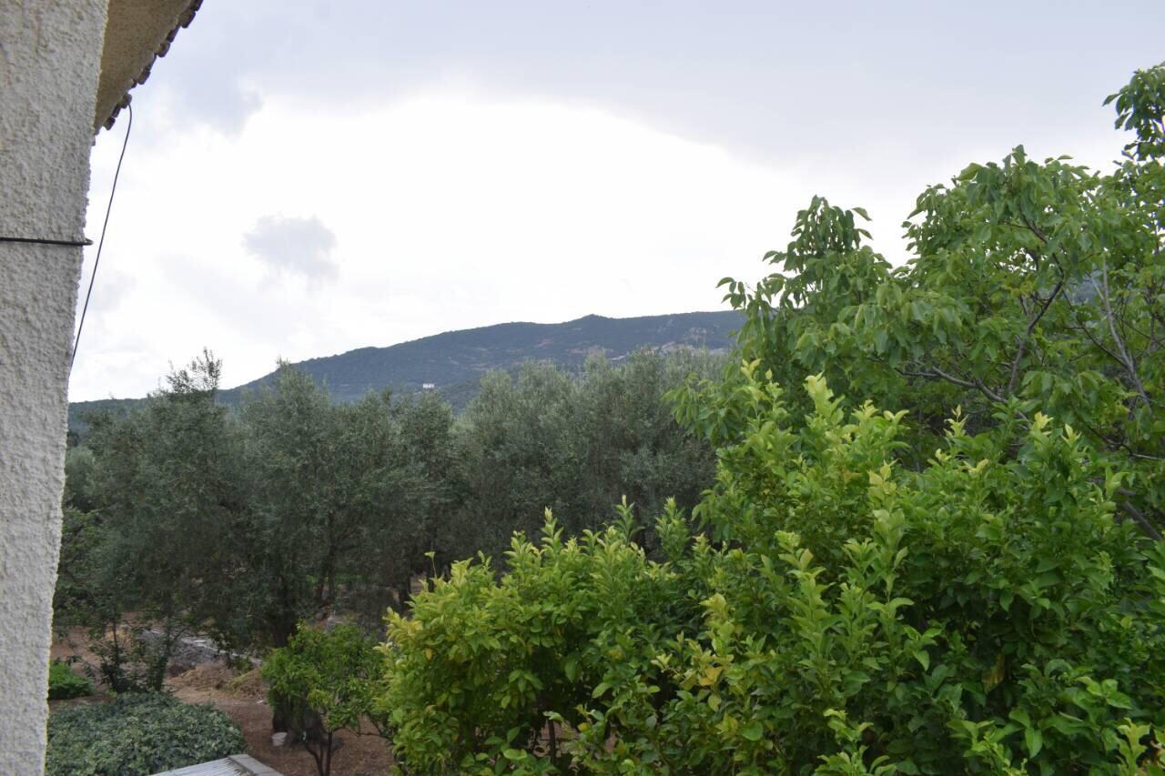Rooms To Let To Kyma Skala Sikamineas Skala Sykamineas Dış mekan fotoğraf